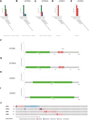 MJDs family members: Potential prognostic targets and immune-associated biomarkers in hepatocellular carcinoma